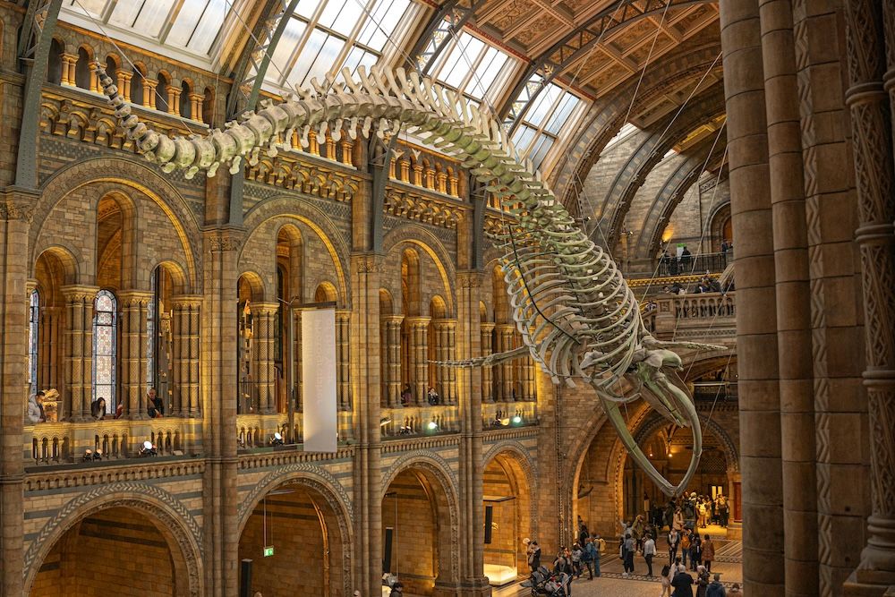 🇬🇧 Free Things to Do in London with Kids: Top Family Adventures That Cost Nothing
